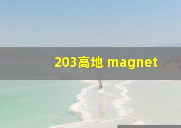 203高地 magnet